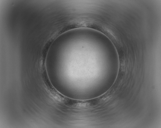 X0000073760314200608031541