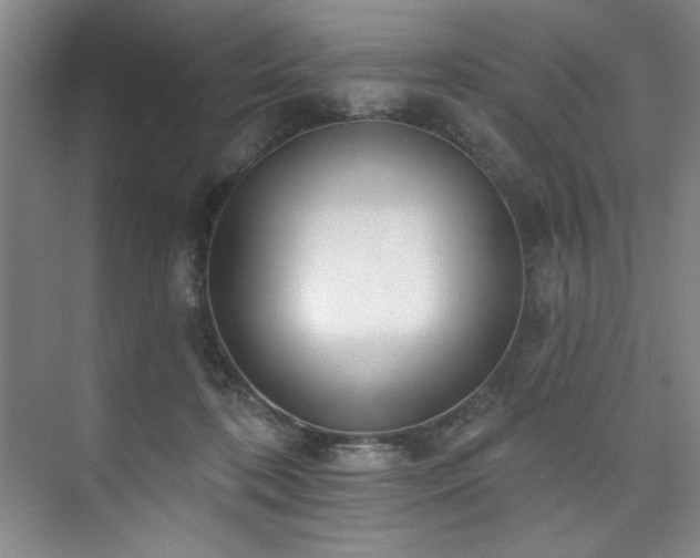 X0000073760316200608031541