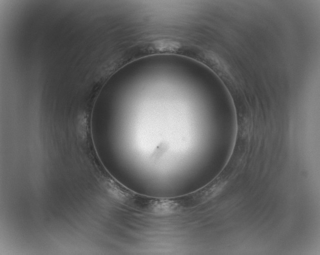 X0000073760321200608031541