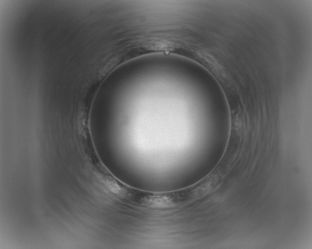 X0000073760322200608031541