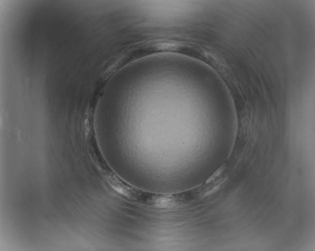 X0000073760325200608031540