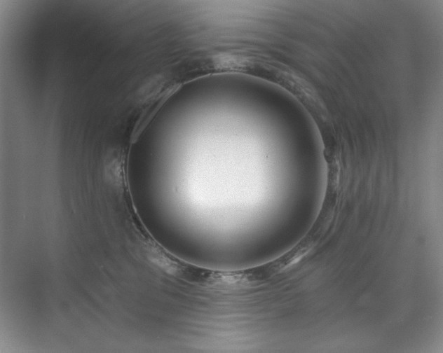 X0000073760329200608031540