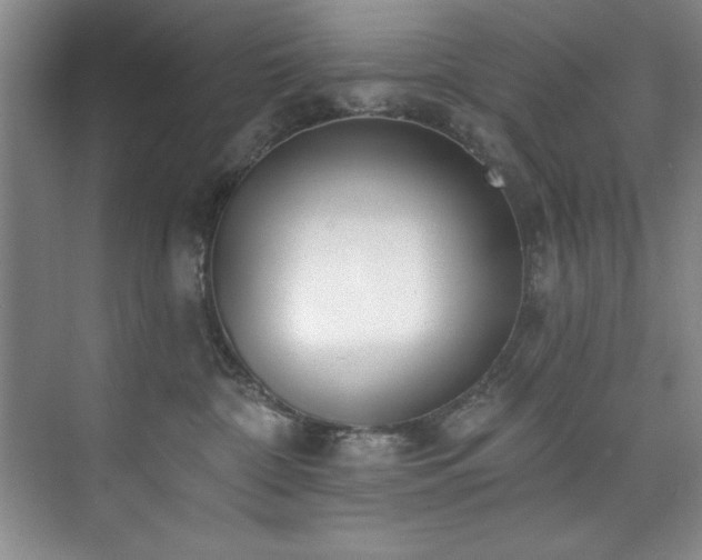 X0000073760332200608031540