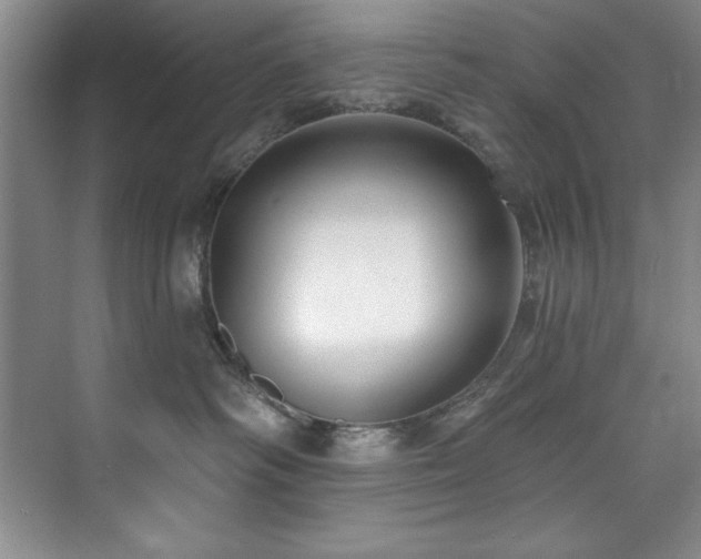 X0000073760334200608031540