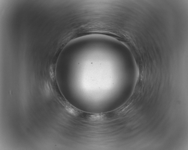 X0000073760335200608031540