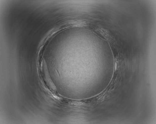 X0000073760339200608031540