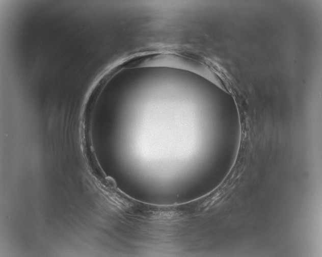 X0000073760342200608031540