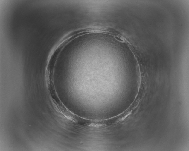 X0000073760343200608031540