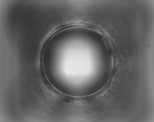 X0000073760344200608031540