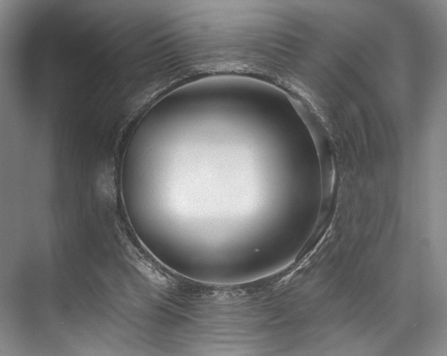 X0000073760345200608031540