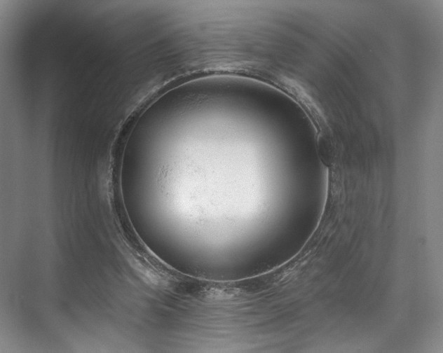 X0000073760346200608031540