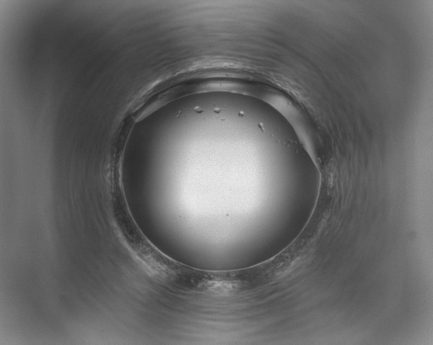 X0000073760352200608031540