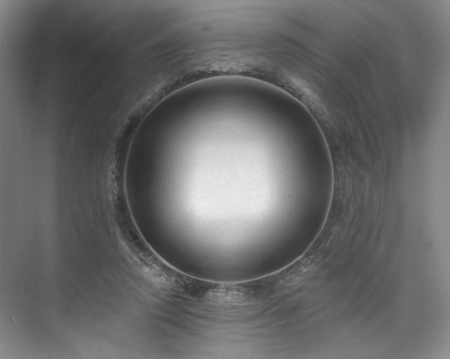 X0000073760354200608031540