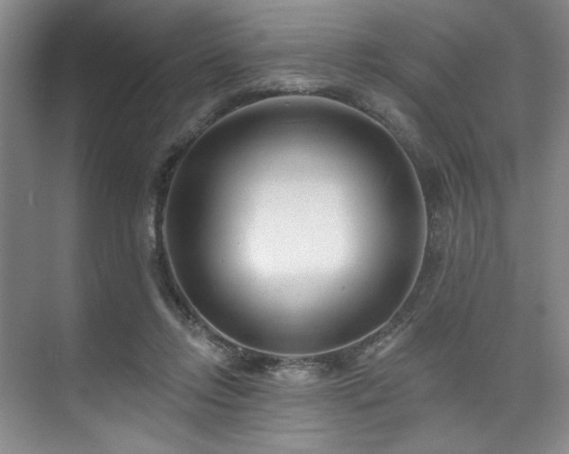 X0000073760358200608031540