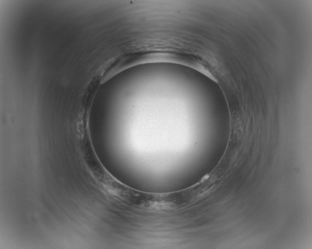 X0000073760360200608031540