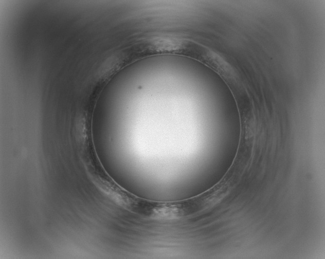 X0000073760362200608031540