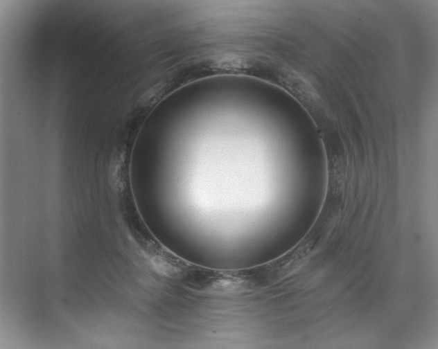 X0000073760364200608031540