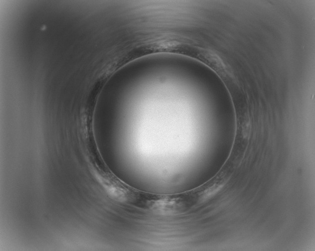 X0000073760366200608031540