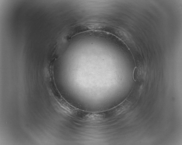 X0000073760367200608031540
