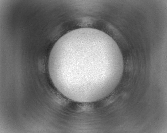 X0000073760370200608031540