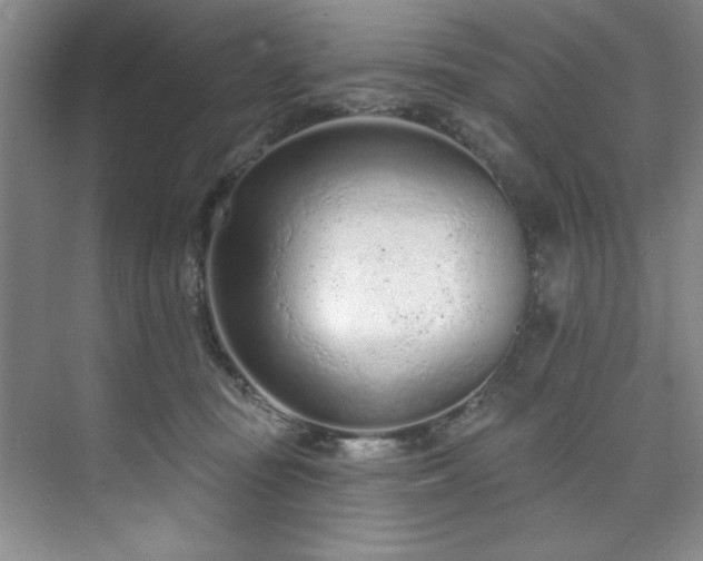 X0000073760371200608031540