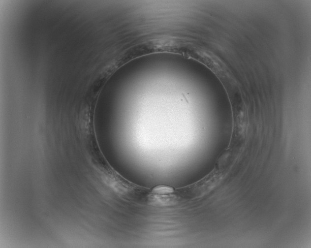 X0000073760372200608031540
