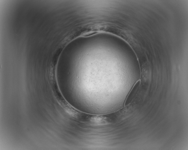 X0000073760375200608031540
