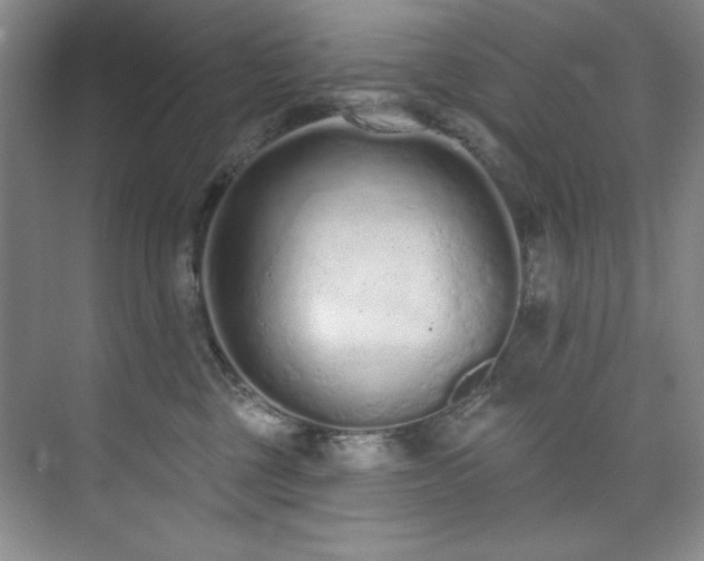 X0000073760377200608031540