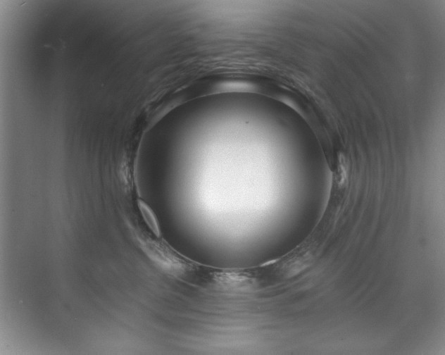 X0000073760380200608031540