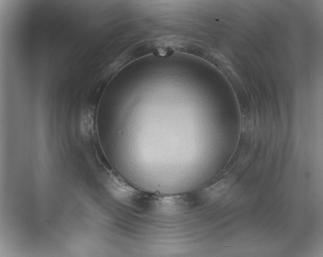 X0000073760382200608031540