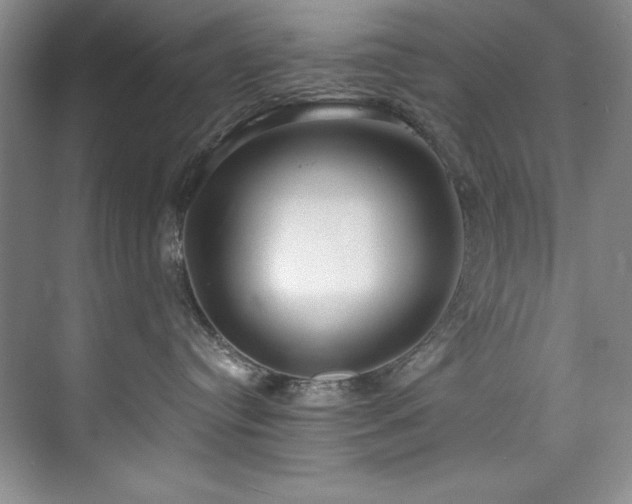 X0000073760384200608031540