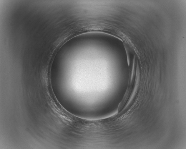 X0000073760386200608031539