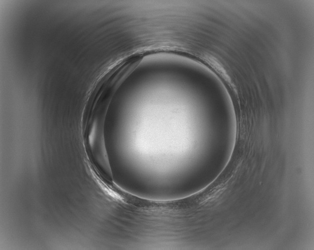 X0000073760389200608031539