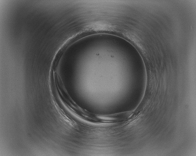 X0000073760391200608031539