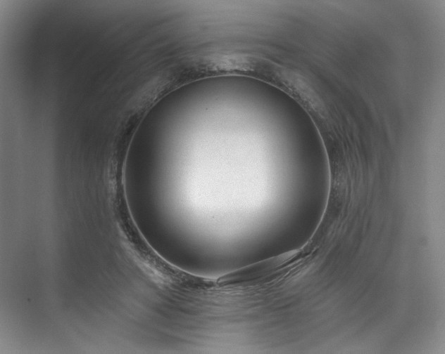 X0000073760402200608031539