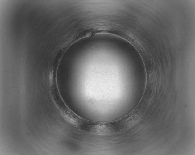 X0000073760406200608031539