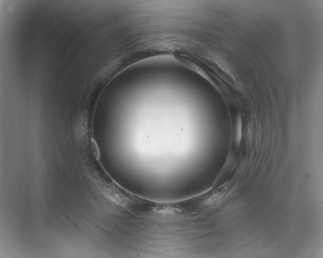 X0000073760407200608031539