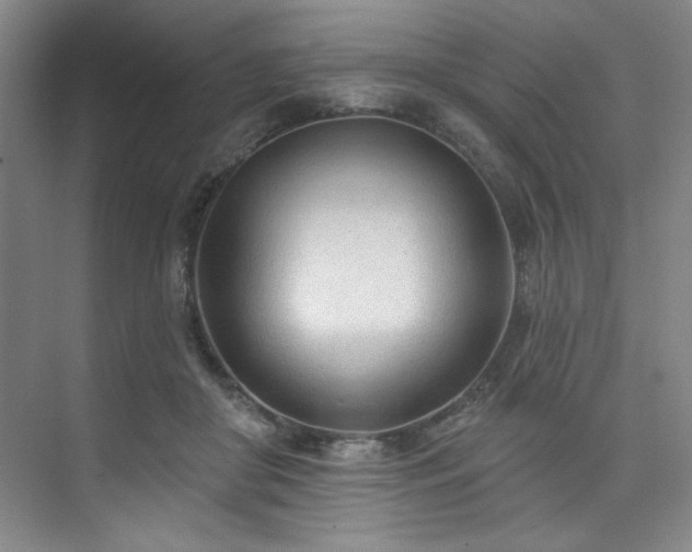 X0000073760410200608031539