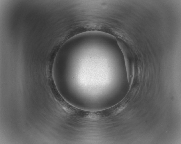 X0000073760416200608031539
