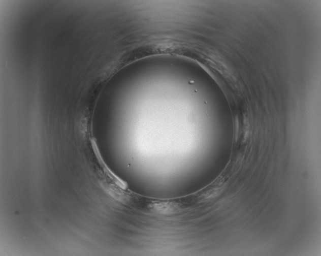 X0000073760417200608031539