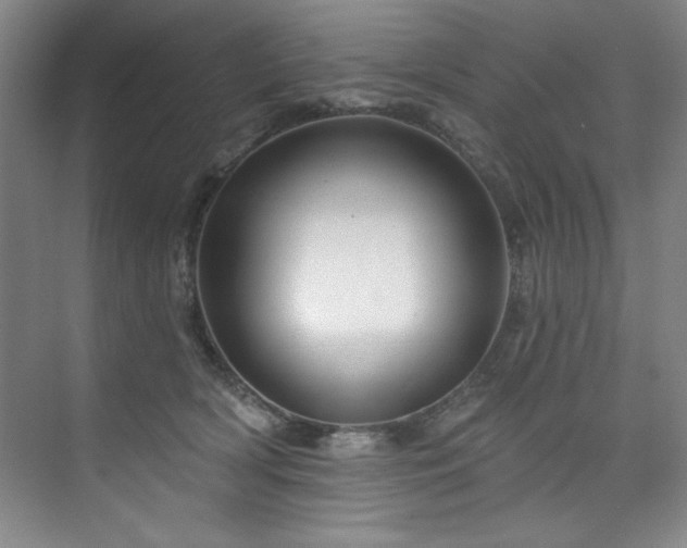 X0000073760418200608031539