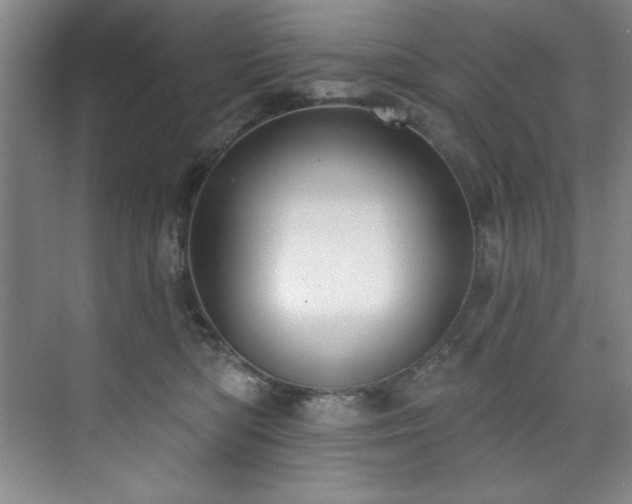 X0000073760422200608031539