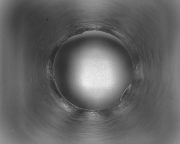 X0000073760424200608031539