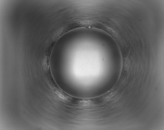 X0000073760428200608031539