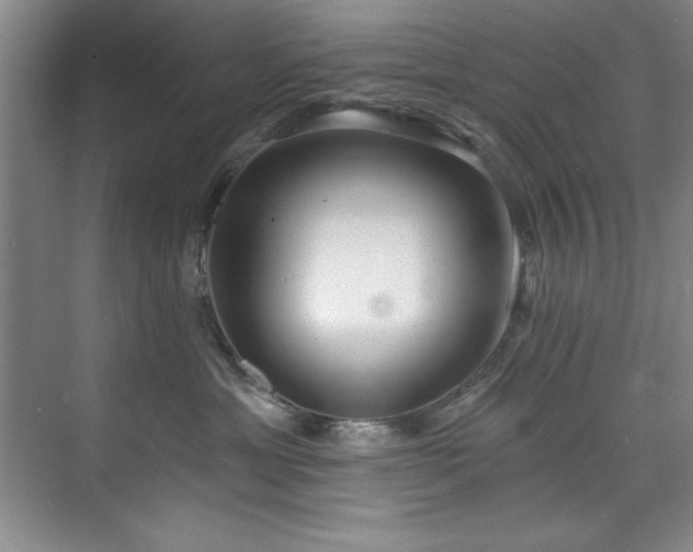 X0000073760429200608031539