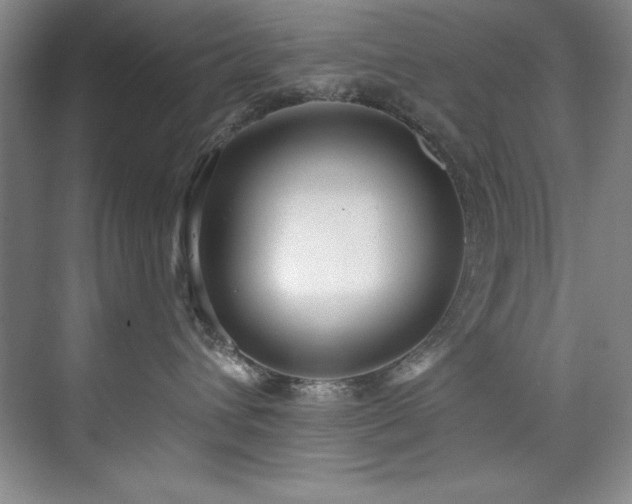 X0000073760432200608031539
