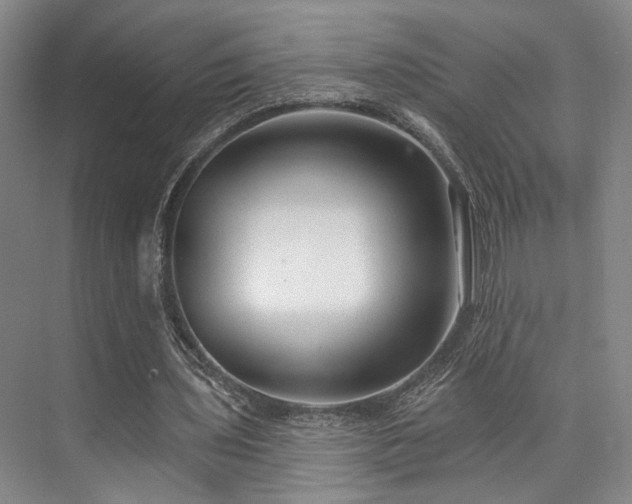 X0000073760435200608031538