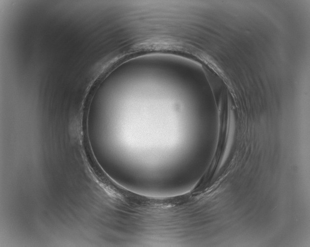X0000073760438200608031538