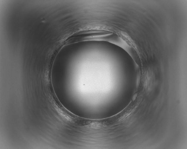 X0000073760441200608031538