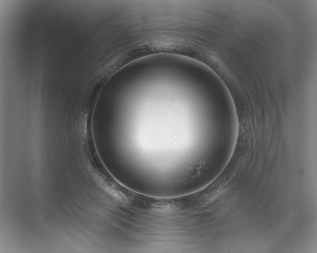 X0000073760454200608031538